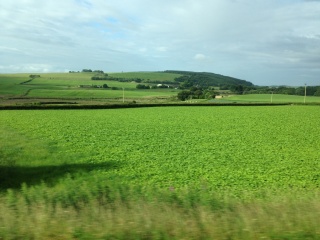 English countryside